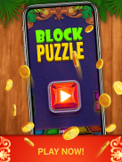 Block Puzzle - Star Gem screenshot 3