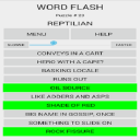Word Flash Free Icon