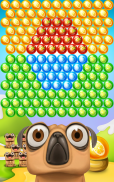 Pug Pop Bubble Shooter screenshot 8