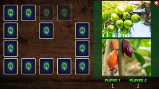 All Vegetals Pairs Memory Game screenshot 6