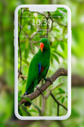 Bird Wallpaper screenshot 5