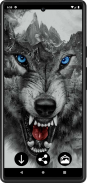 Wolf Wallpapers screenshot 4