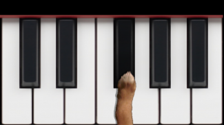 Dog Piano screenshot 0