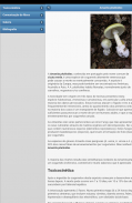 Cogumelos screenshot 8