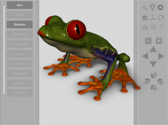 3D Frog Skeleton screenshot 6