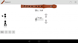 Recorder Fingering Chart screenshot 6