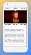 Baby Heart Beat - Fetal Doppler Device Required screenshot 4