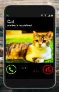 Fälschung Anruf Katze Streich screenshot 3