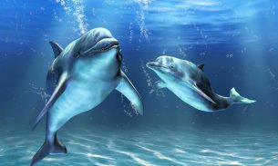 Delfines Live Wallpaper screenshot 0