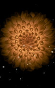 Galaxy Flowers Live Wallpaper screenshot 5