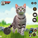 kucing permainan kucing Icon