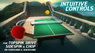 World Table Tennis Champs screenshot 6