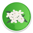 Udupi Mallige - Jasmine Flower - Baixar APK para Android | Aptoide