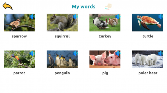 Learn Animals Names in English Pictures Words Quiz screenshot 6