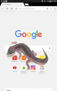 Lizard in phone funny joke screenshot 5