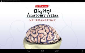 NEUROANATOMY - Digital Atlas screenshot 5