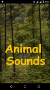 Animal Sounds screenshot 0