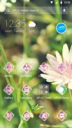 ديزي-APUS Launcher theme screenshot 1