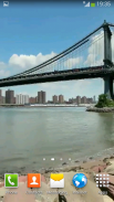 New York Video Wallpapers screenshot 5