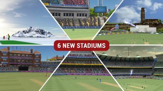 MS Dhoni:The Untold Story Game screenshot 6