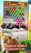 Puppy Dog Pop - Bubble Shoot Mania screenshot 1