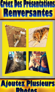 Premium Photo Collage Expert screenshot 13