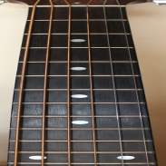 Guitar Fretboard Addict FREE screenshot 0