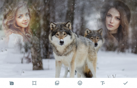 Wolf Photo Frames screenshot 0