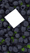 Berries Photo Frames HD - Red, Blue, Black Berries screenshot 15