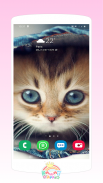 Kawaii Cats Wallpapers - Cute Backgrounds screenshot 4