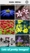 Flower Slide Puzzle screenshot 5