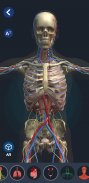 Human Anatomy 3D screenshot 7