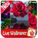 Red rose Live Wallpaper 2019 free Red rose LWP Icon