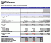 Profit and Loss Templates screenshot 3