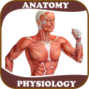 Human Anatomy and Physiology