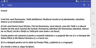 Rugăciuni Creştine Ortodoxe screenshot 7