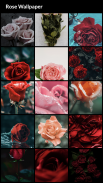 Rose Wallpapers screenshot 0