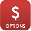 Stock Option Quotes