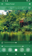 Relax Forest - Nature sounds: sleep & meditation screenshot 15