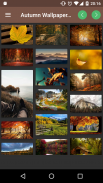 Autumn wallpapers collections screenshot 2