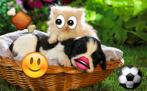 Emoji Photo Sticker Maker Pro screenshot 4