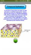 Epithelial Tissue screenshot 2