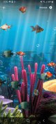 Aquarium Live Wallpaper 3D screenshot 3