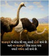 રોચક તથ્ય | Rochak Tathya - Facts in Gujarati screenshot 22