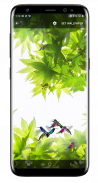 Birds Flying Live Wallpaper screenshot 1