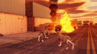 Pitbull Dog Simulator screenshot 12