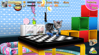 My Cat My Room screenshot 0