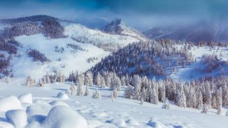Forest Jigsaw Puzzle screenshot 2