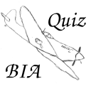 Quiz BIA Icon