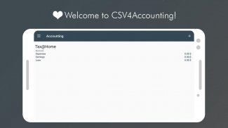 Accounting CSV: track finances screenshot 0